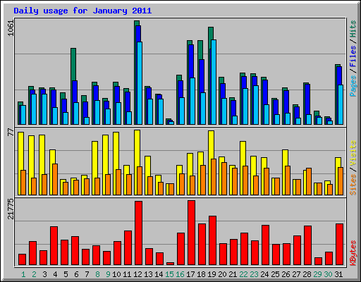 Daily usage for January 2011