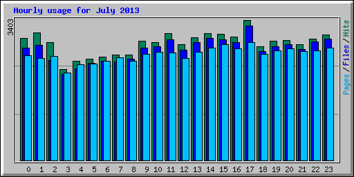 Hourly usage for July 2013